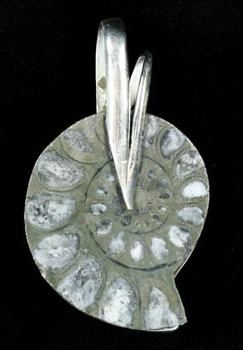 Pyritized Ammonite Fossil Pendant - Sterling Silver #21007